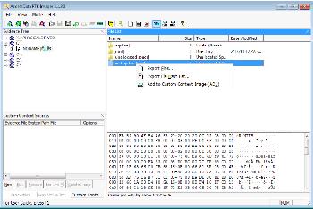 accessdata ftk imager