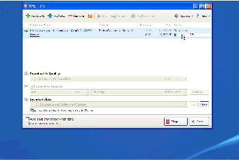 tomato youtube video downloader 1.1.5 tomato youtube video downloader 1.1.5